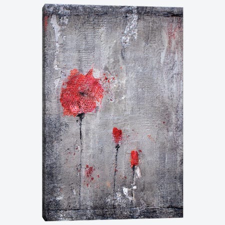 Poppies And Cement Canvas Print #DOM35} by Donatella Marraoni Canvas Art