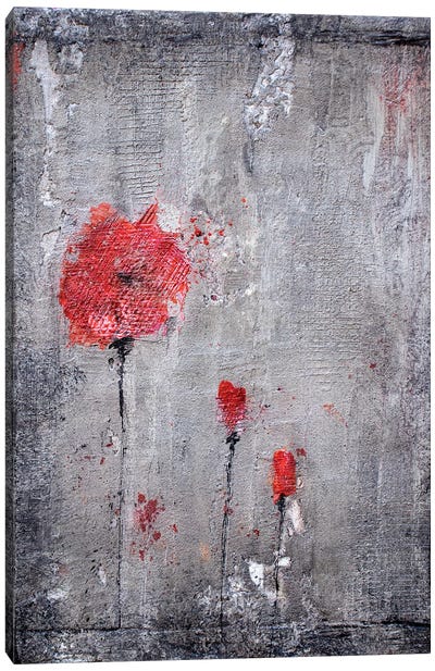 Poppies And Cement Canvas Art Print - Donatella Marraoni