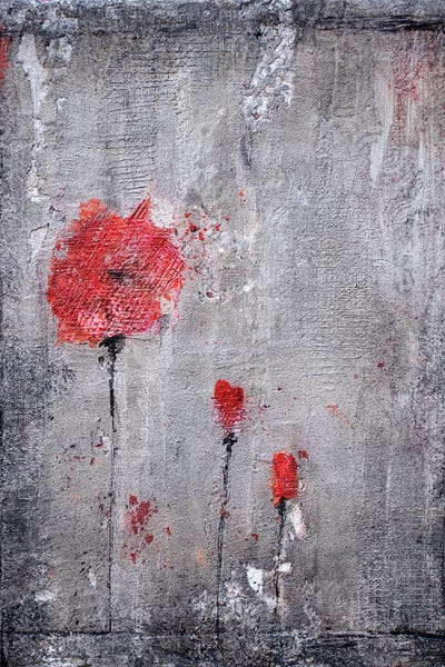 Donatella Marraoni: Poppies And Cement by Donatella Marraoni