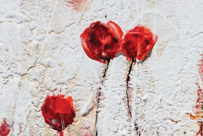 Noi by Donatella Marraoni canvas print