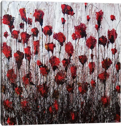 Poppies In Love Canvas Art Print - Donatella Marraoni