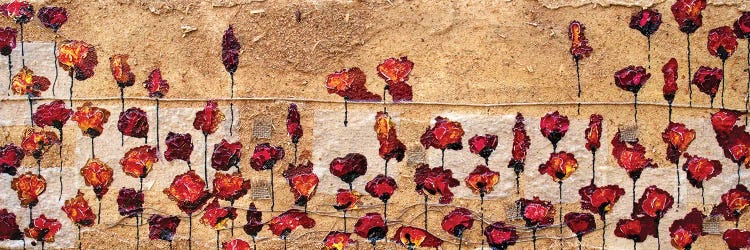 Poppies Oizzontale Segatura by Donatella Marraoni wall art