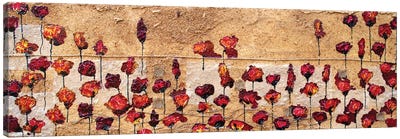 Poppies Oizzontale Segatura Canvas Art Print - Donatella Marraoni