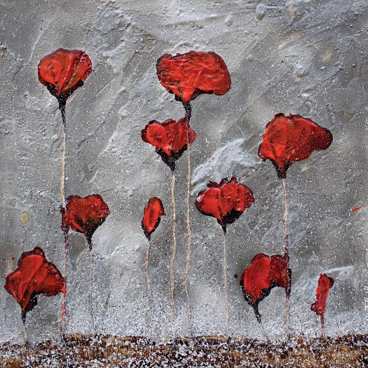 Poppies On Cardoard Canvas