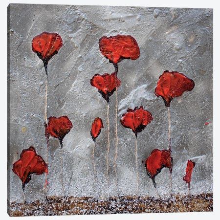 Poppies On Cardoard Canvas Canvas Print #DOM38} by Donatella Marraoni Art Print