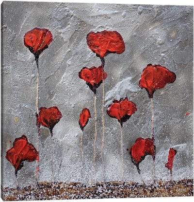 Poppies On Cardoard Canvas Canvas Art Print - Donatella Marraoni