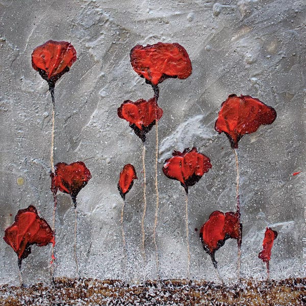 Donatella Marraoni: Poppies On Cardoard Canvas by Donatella Marraoni