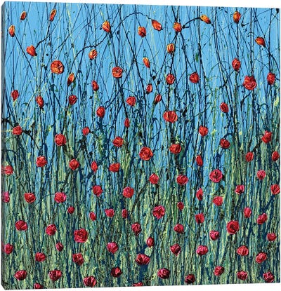 Poppies In The Sky Canvas Art Print - Donatella Marraoni