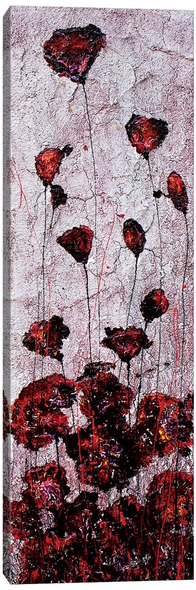 Poppies Sand Canvas Art Print - Donatella Marraoni
