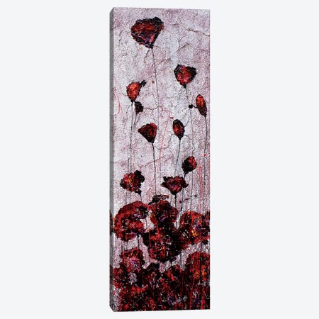 Poppies Sand Canvas Print #DOM40} by Donatella Marraoni Canvas Artwork
