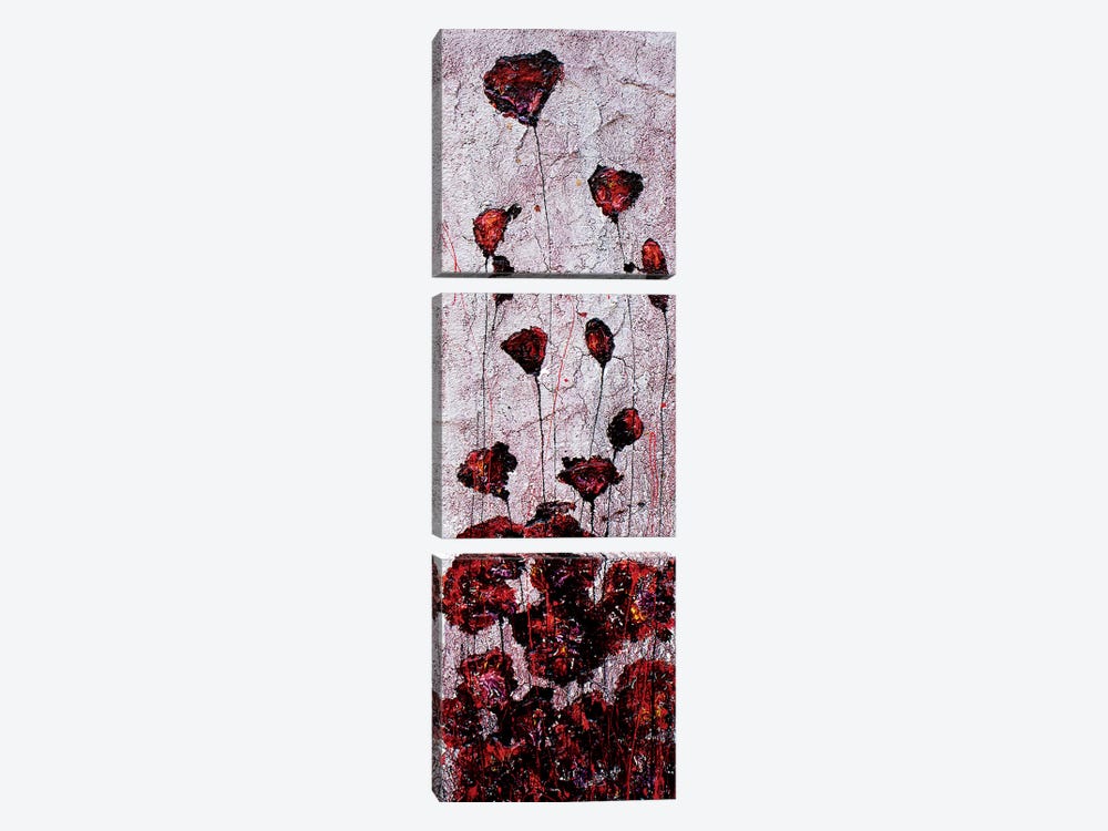 Poppies Sand by Donatella Marraoni 3-piece Canvas Art Print