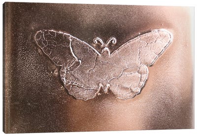 Butterfly Gold Canvas Art Print - Donatella Marraoni
