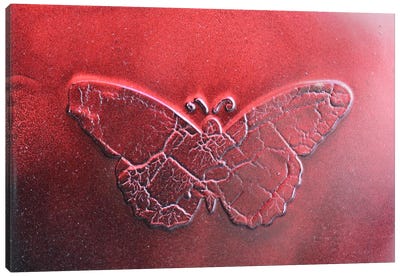 Red Butterfly Canvas Art Print - Donatella Marraoni