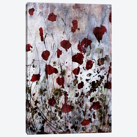 Poppies, Red Flowers Canvas Print #DOM42} by Donatella Marraoni Canvas Art
