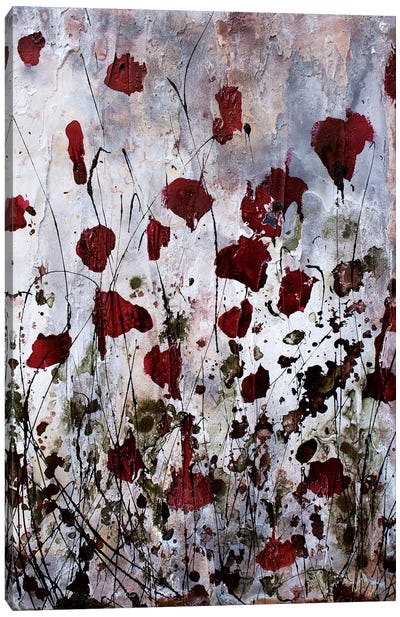 Poppies, Red Flowers Canvas Art Print - Donatella Marraoni