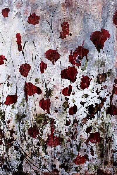 Donatella Marraoni: Poppies, Red Flowers by Donatella Marraoni
