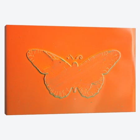 Orange Butterfly Canvas Print #DOM430} by Donatella Marraoni Canvas Artwork