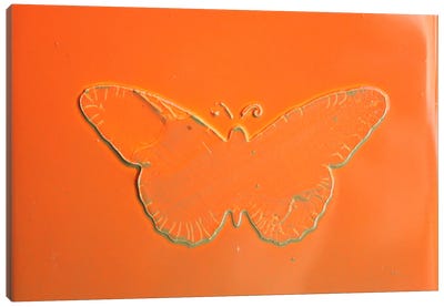Orange Butterfly Canvas Art Print - Donatella Marraoni