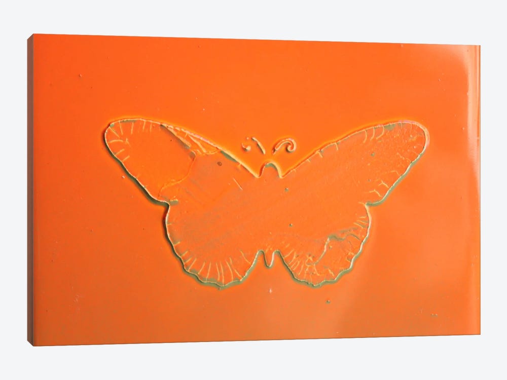 Orange Butterfly by Donatella Marraoni 1-piece Canvas Art