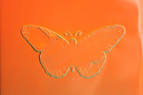 Donatella Marraoni: Orange Butterfly by Donatella Marraoni