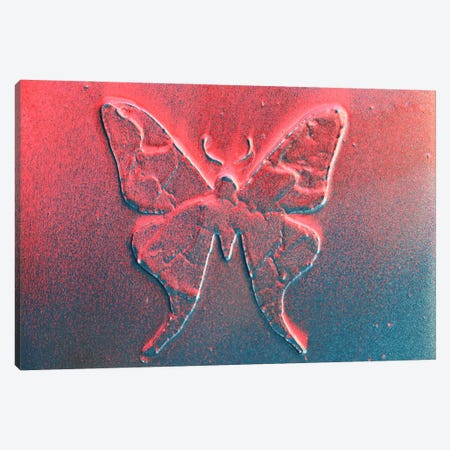 Pop Butterfly Canvas Print #DOM431} by Donatella Marraoni Canvas Wall Art