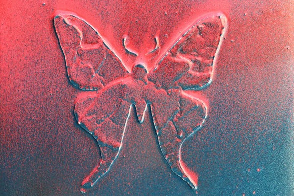 Donatella Marraoni: Pop Butterfly by Donatella Marraoni