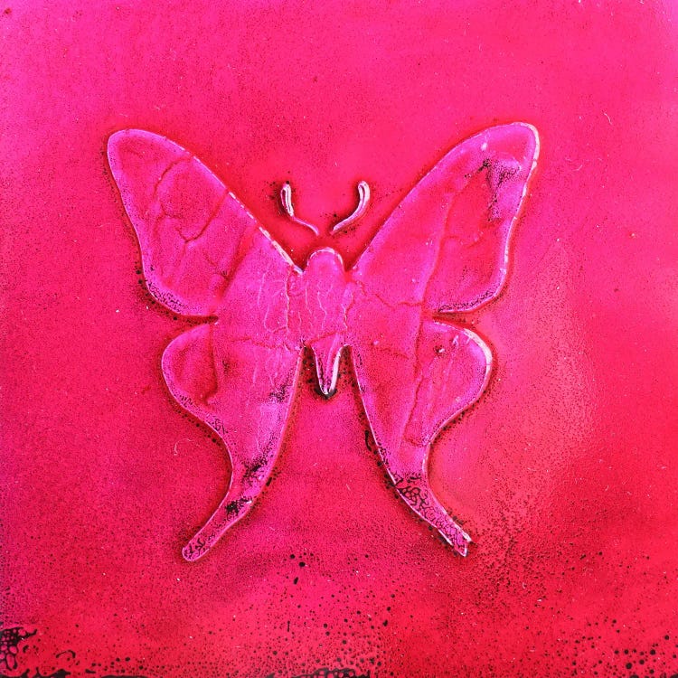 Pink Butterfly