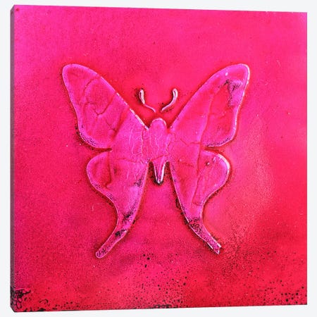 Pink Butterfly Canvas Print #DOM433} by Donatella Marraoni Canvas Wall Art