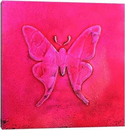 Pink Butterfly Canvas Art Print - Donatella Marraoni