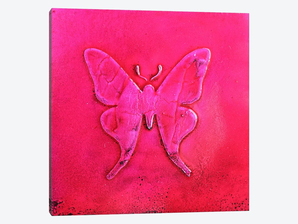 Pink Butterfly by Donatella Marraoni 1-piece Canvas Art Print