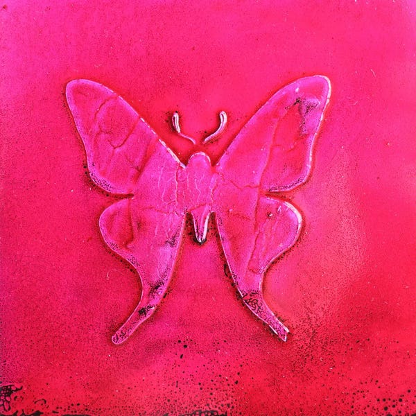 Donatella Marraoni: Pink Butterfly by Donatella Marraoni