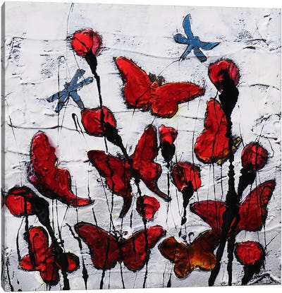 Butterfly And Poppies Canvas Art Print - Donatella Marraoni