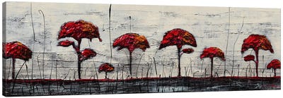 Red Trees Canvas Art Print - Donatella Marraoni