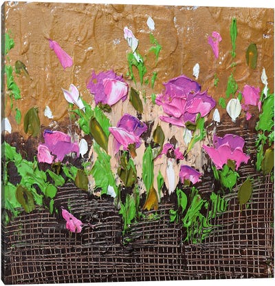 Poppies In Pink Canvas Art Print - Donatella Marraoni