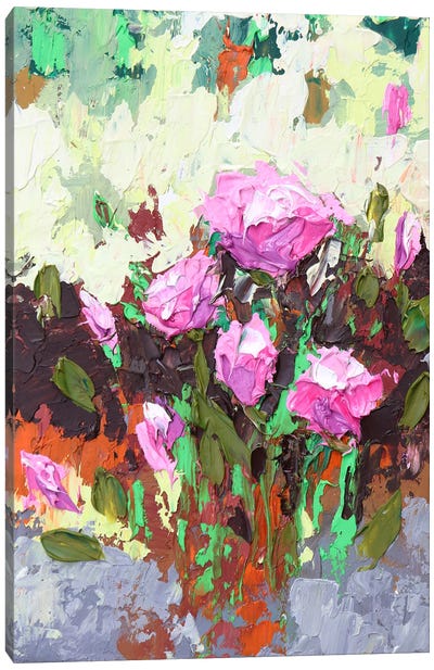 Poppies In Pink I Canvas Art Print - Donatella Marraoni