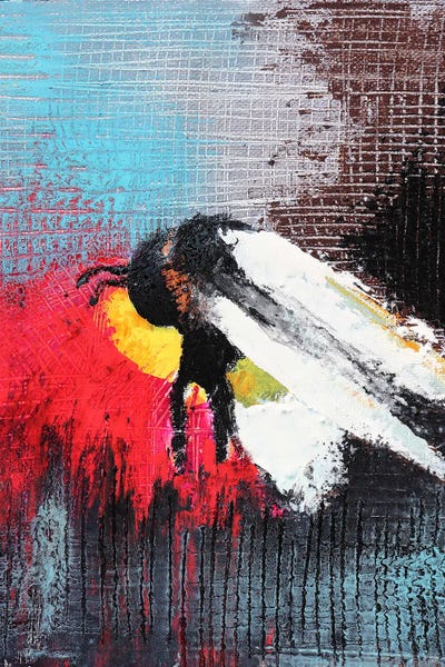 Bee by Donatella Marraoni canvas print