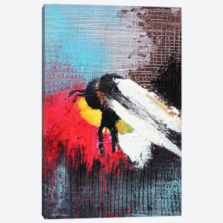 Bee Canvas Print #DOM444} by Donatella Marraoni Canvas Art