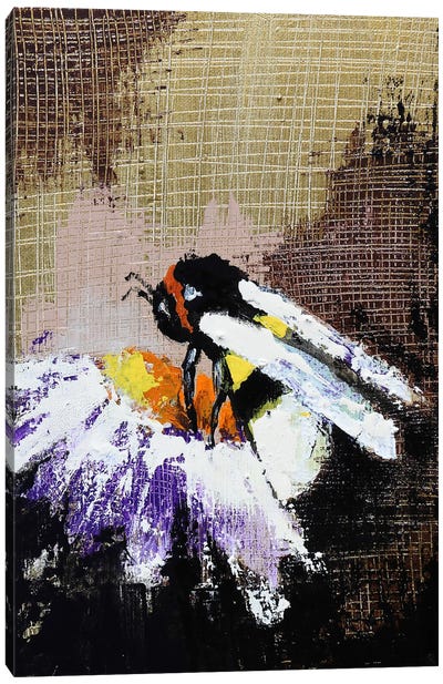 Bee And Flower Canvas Art Print - Donatella Marraoni