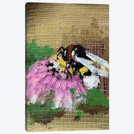 Bee And Pinl Flower Canvas Print #DOM446} by Donatella Marraoni Canvas Wall Art