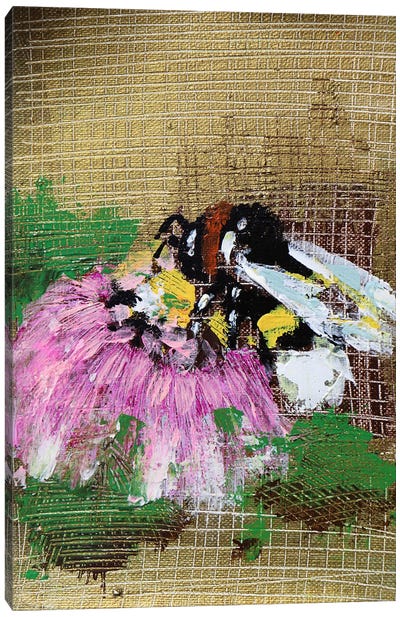 Bee And Pinl Flower Canvas Art Print - Donatella Marraoni