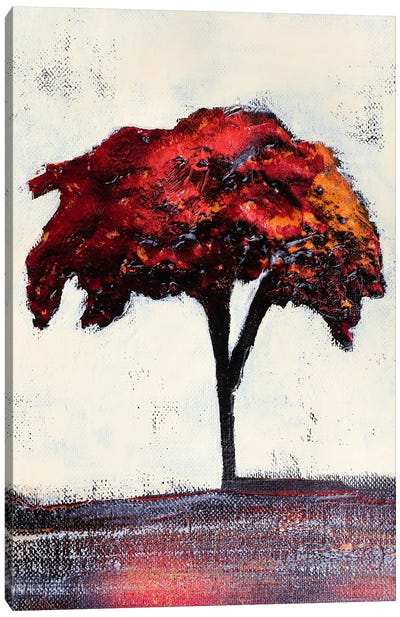 Red Tree. Canvas Art Print - Donatella Marraoni