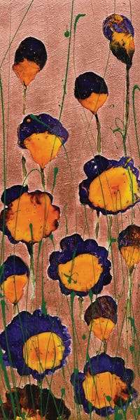Donatella Marraoni: I Wish I Was Special by Donatella Marraoni
