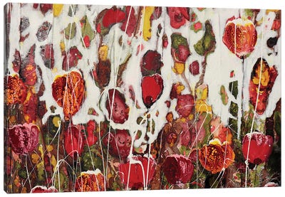 Poppies. Canvas Art Print - Donatella Marraoni