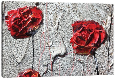 Poppies And Wall Canvas Art Print - Donatella Marraoni