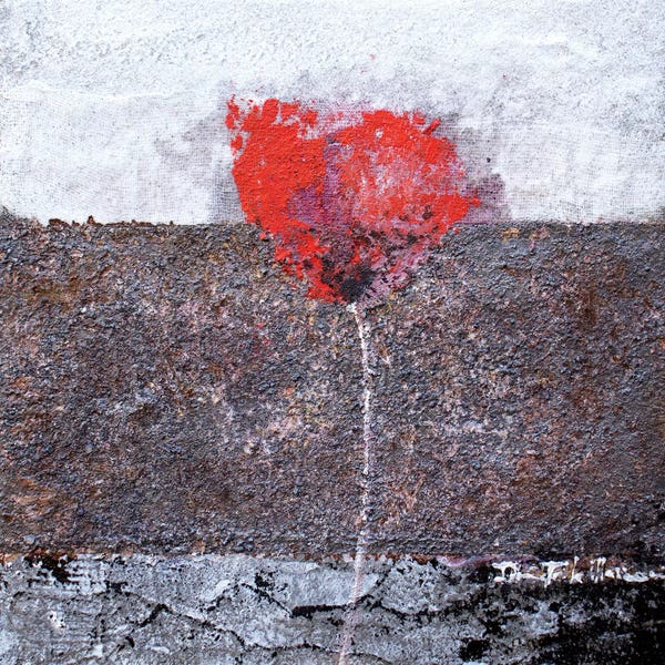 Color Fields: Solitary Poppy by Donatella Marraoni