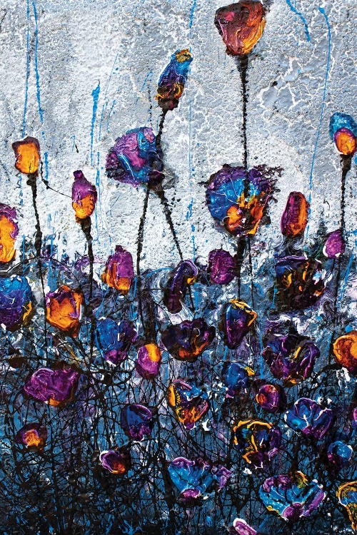 Sunset by Donatella Marraoni wall art