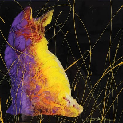 Canvas Print: Gatto Pop Viola by Donatella Marraoni - thumbnail
