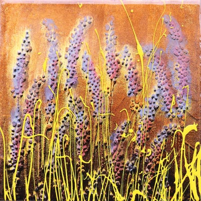 Canvas Print: Lavanda Soft by Donatella Marraoni - thumbnail