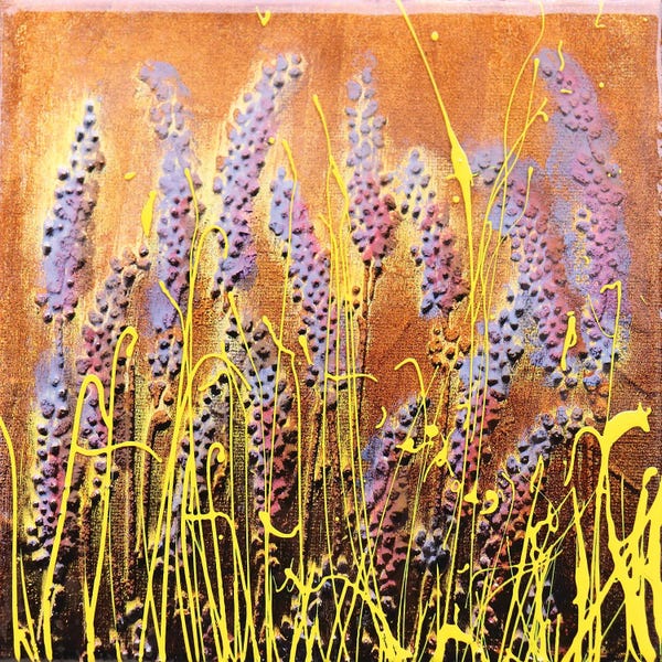 Lavanda Soft