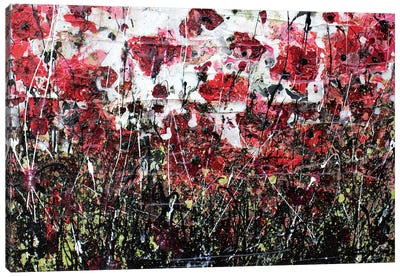 Black Poppies And Love Canvas Art Print - Donatella Marraoni
